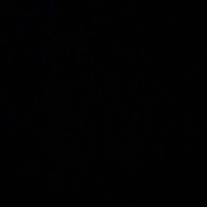 Meet your Posher, Miles